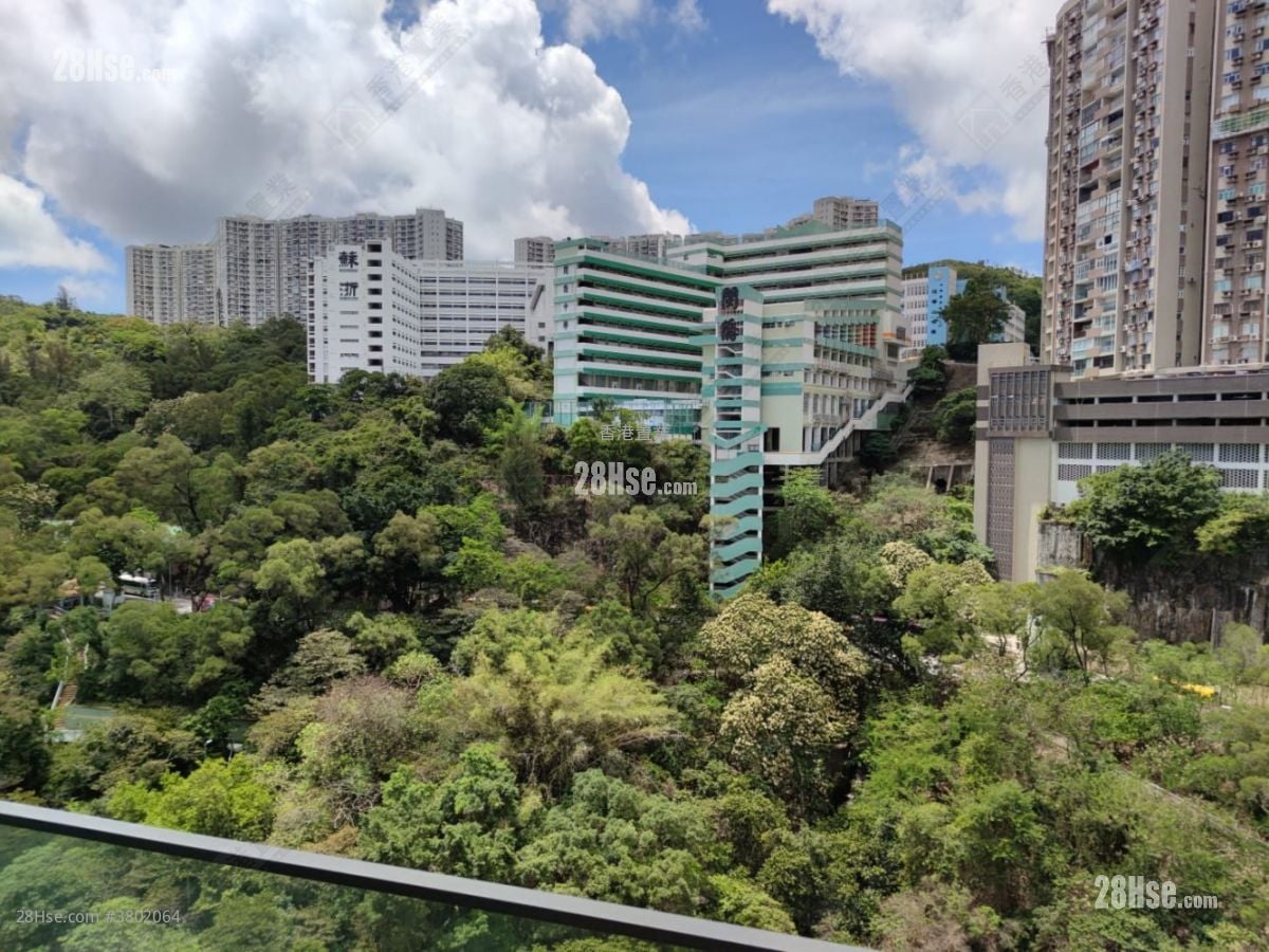 形品 租盘 1 房 , 1 浴室 363 平方尺