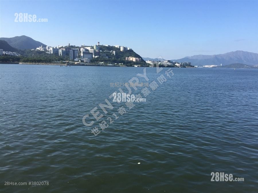 迎涛湾 售盘 818 平方尺