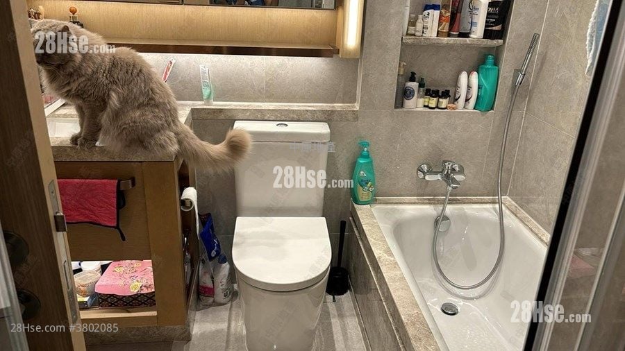 Crescent Green Sell 3 Bedrooms 1,006 ft²