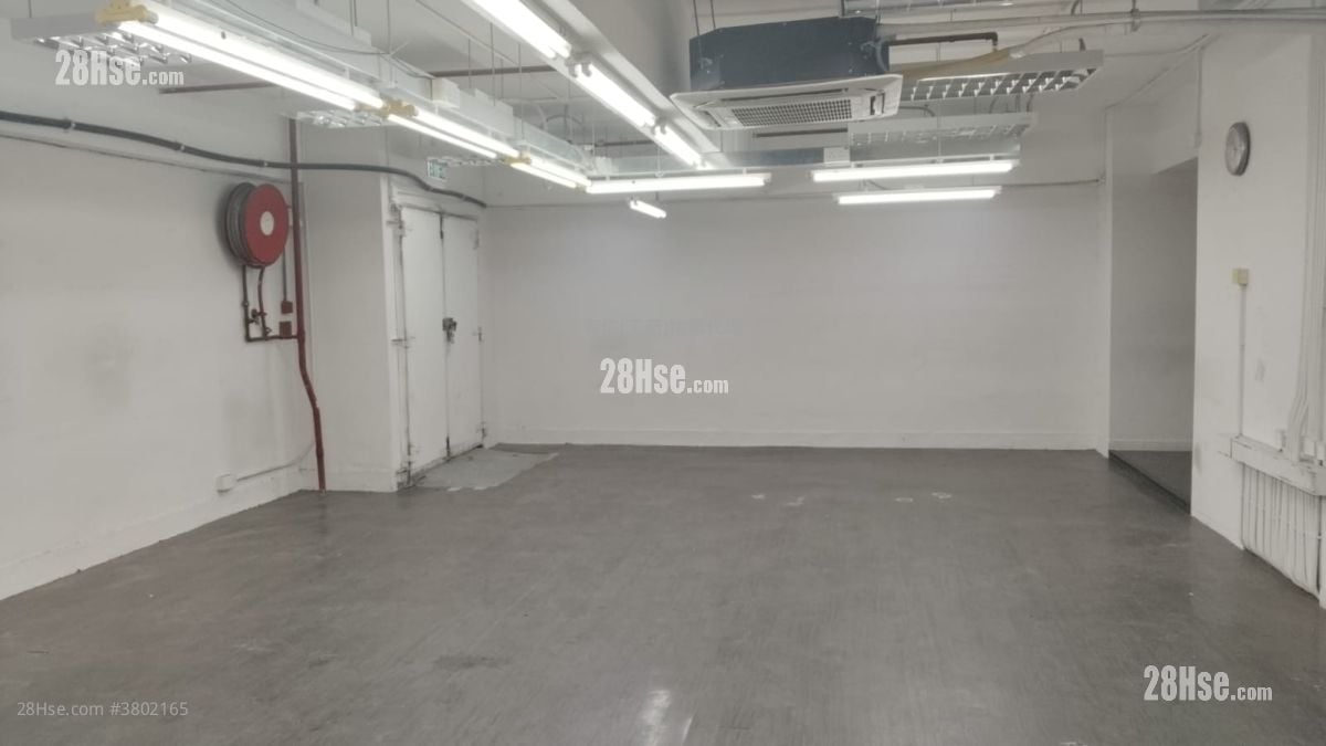 龙翔工业大厦 租盘 5+ 房