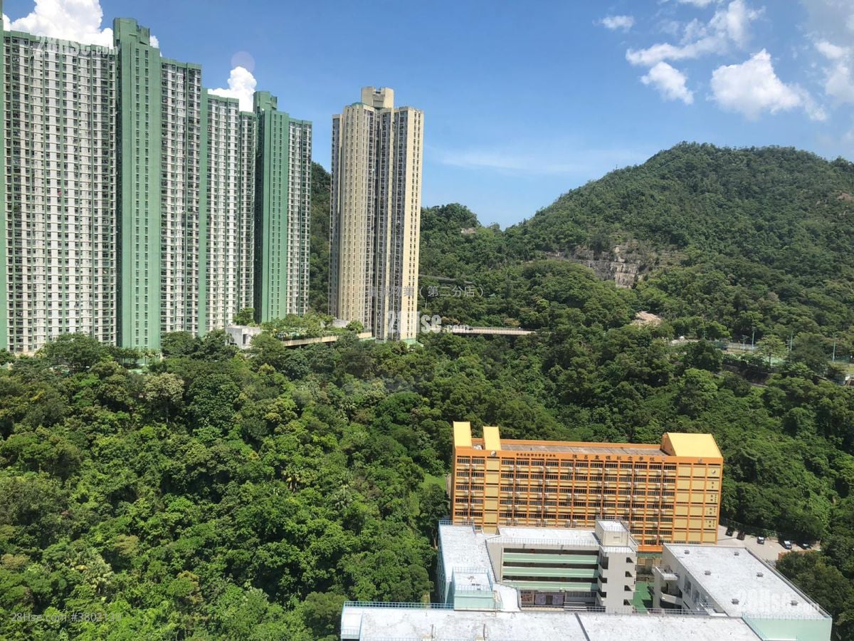 油翠苑 售盘 400 平方尺