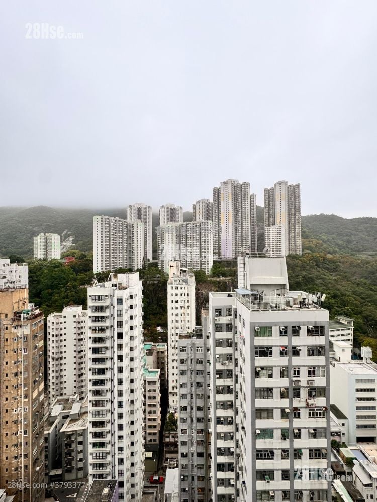 ISLAND RESIDENCE 租盘 开放式间隔 , 1 浴室 272 平方尺