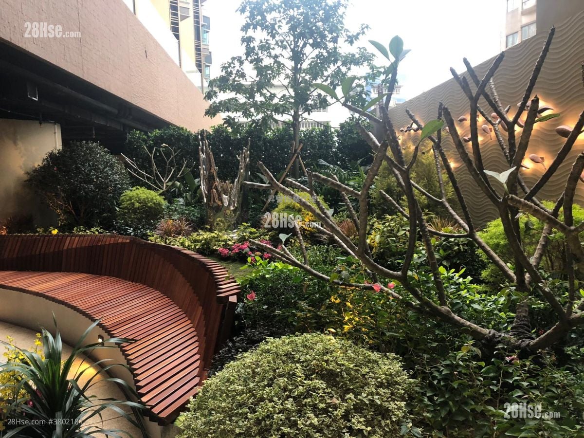 环海东岸 租盘 开放式间隔 , 1 浴室 194 平方尺