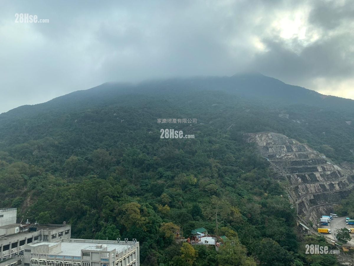 Lime Gala Rental 2 Bedrooms , 1 Bathroom 469 ft²