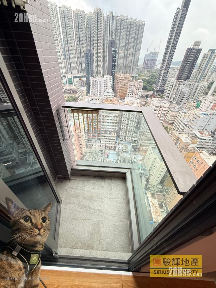 Ava228 Rental Studio , 1 Bathroom 151 ft²