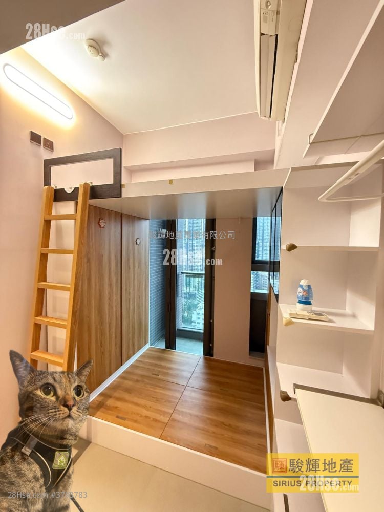 Ava228 Rental Studio , 1 Bathroom 151 ft²