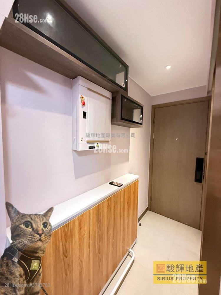 Ava228 Rental Studio , 1 Bathroom 151 ft²