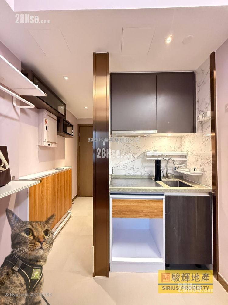 Ava228 Rental Studio , 1 Bathroom 151 ft²