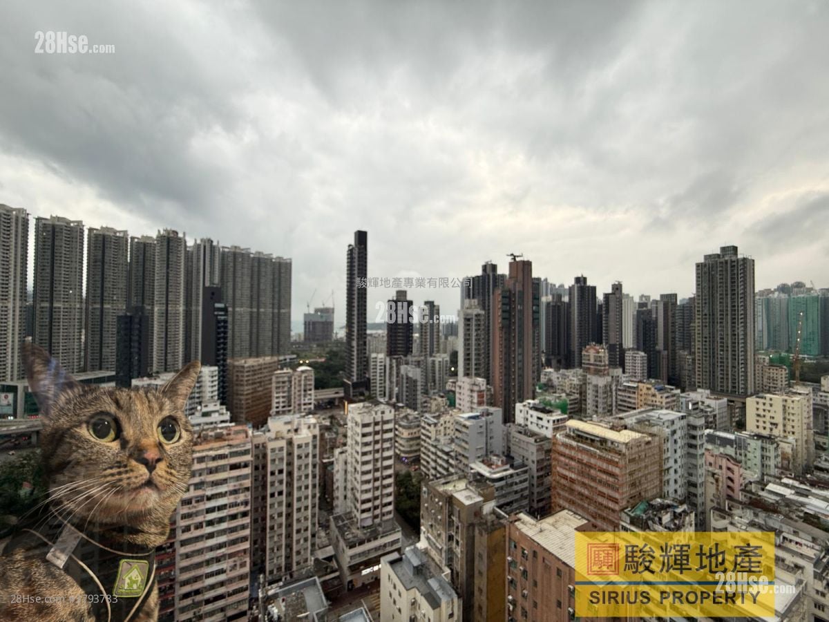 Ava228 Rental Studio , 1 Bathroom 151 ft²