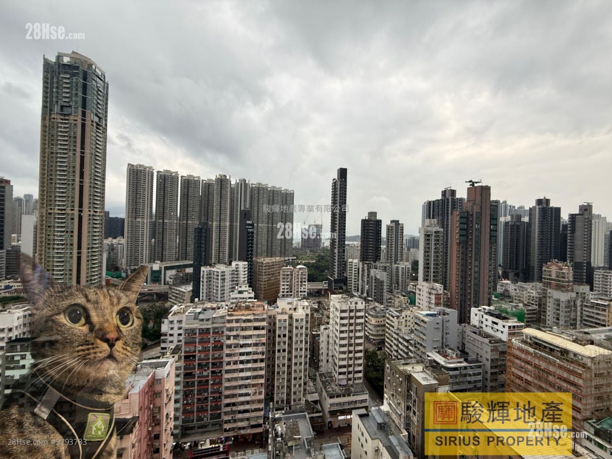 Ava228 Rental Studio , 1 Bathroom 151 ft²