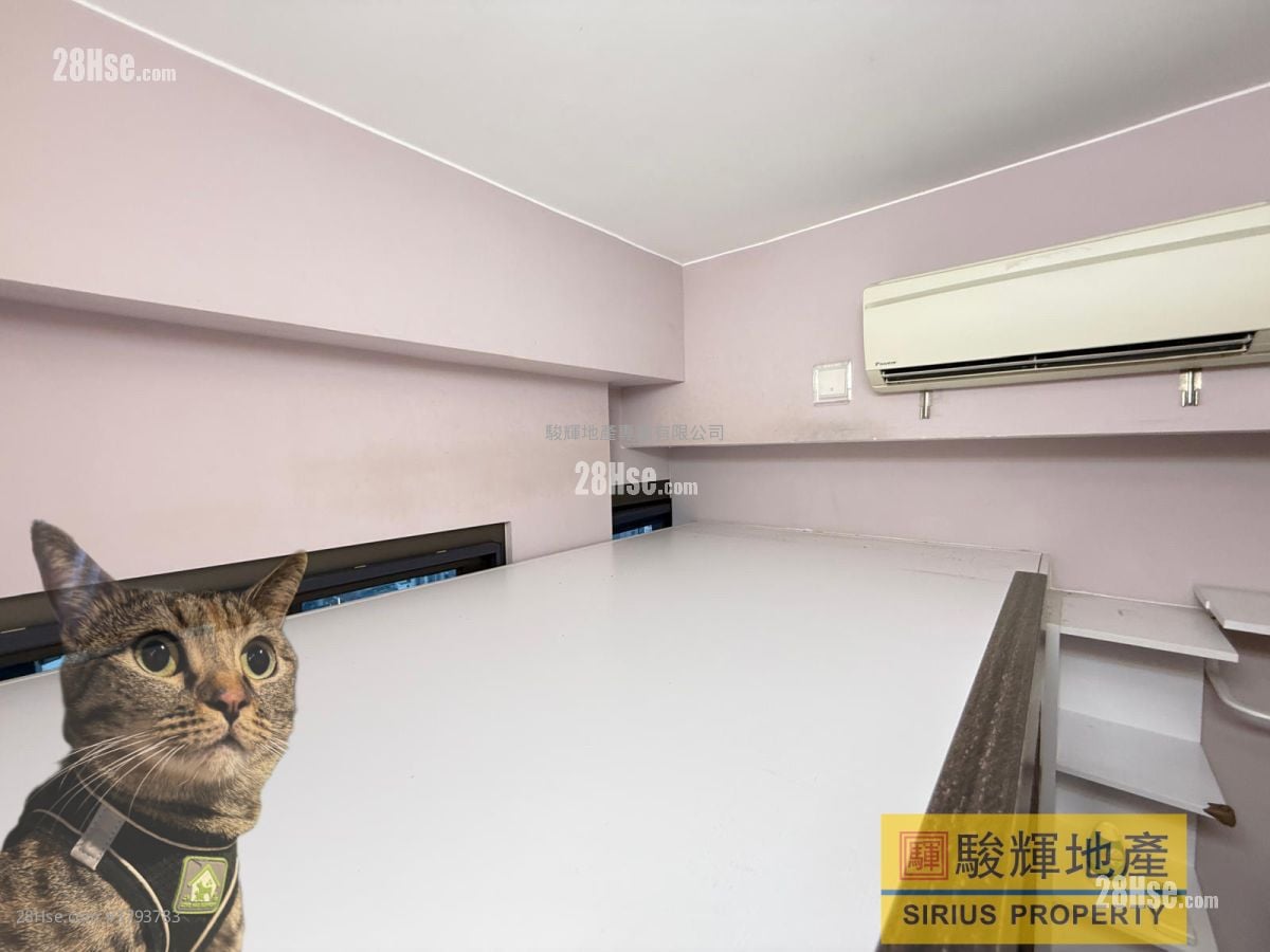 Ava228 Rental Studio , 1 Bathroom 151 ft²