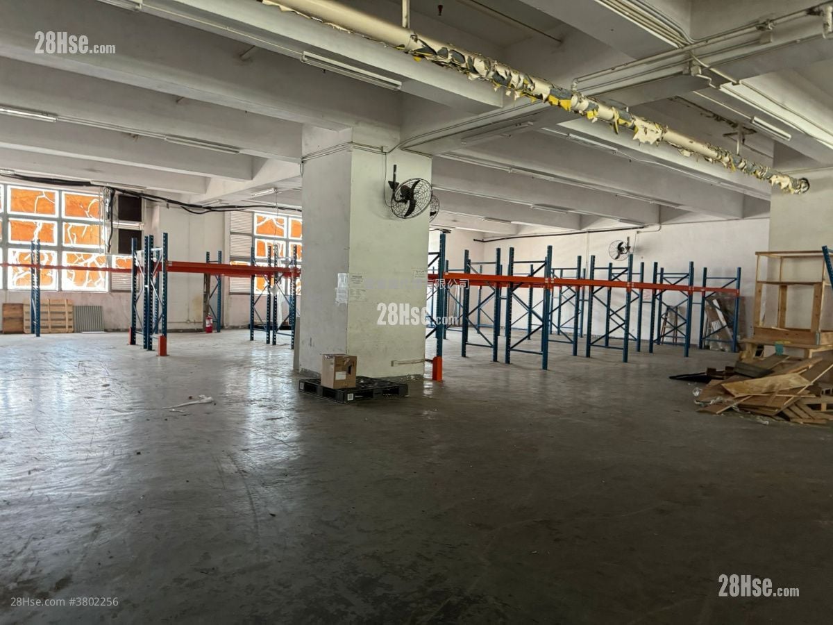 Yuen Long Delux Warehouse Rental