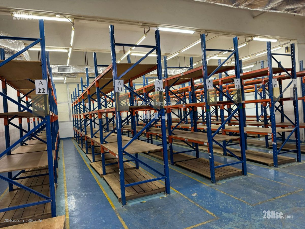Yuen Long Delux Warehouse Rental