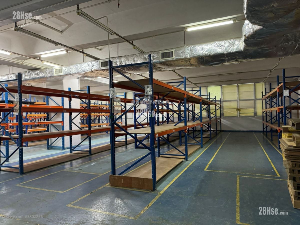 Yuen Long Delux Warehouse Rental