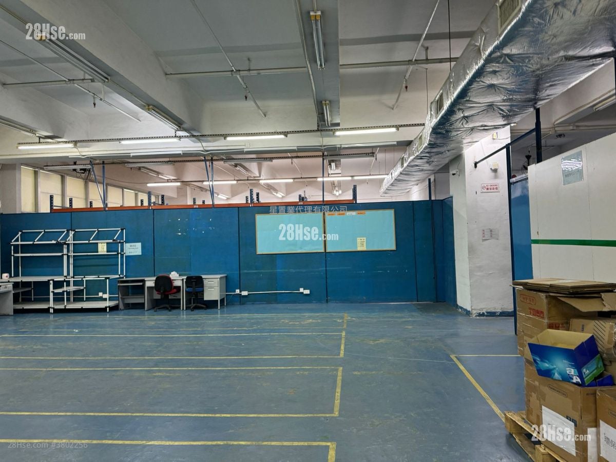 Yuen Long Delux Warehouse Rental
