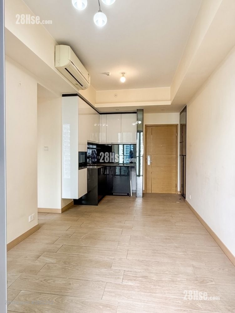 Century Link Rental 484 ft²