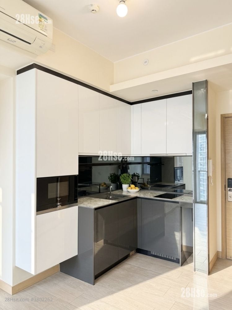 Century Link Rental 484 ft²