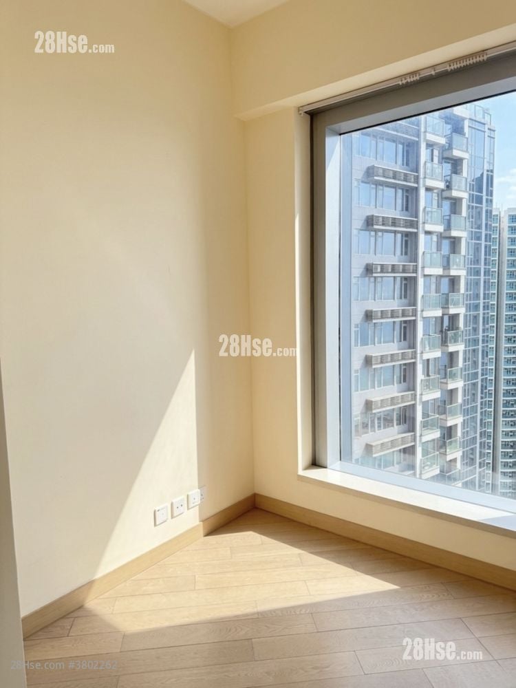 Century Link Rental 484 ft²