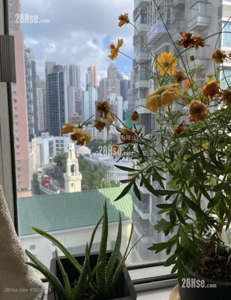 Ka Fai Court Sell 1 Bedroom , 1 Bathroom 323 ft²