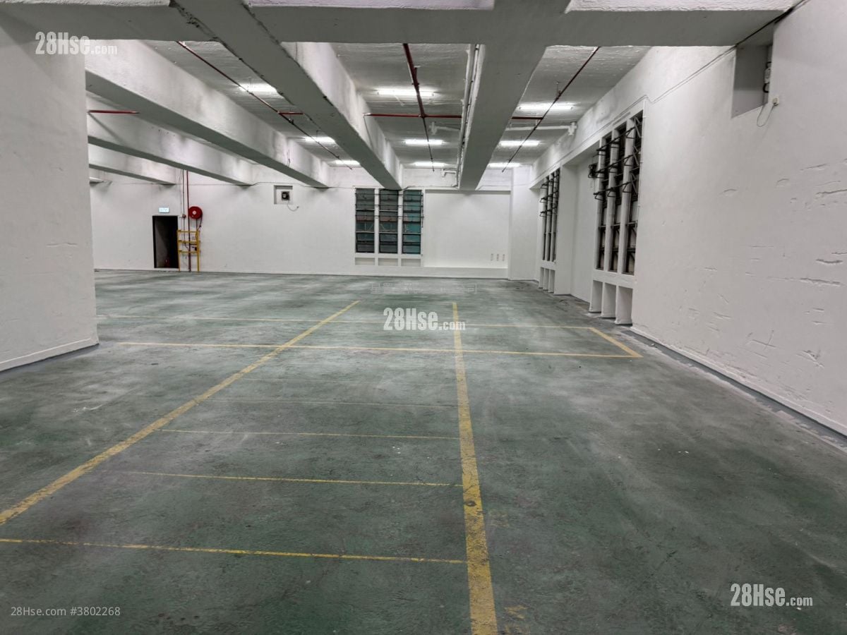 沙田区大仓 租盘