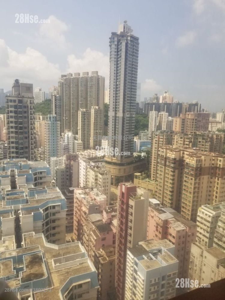 金都豪苑 售盘 3 房 , 2 浴室 524 平方尺