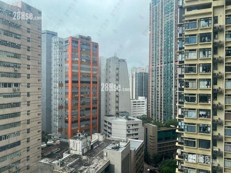 乐悠居 租盘 3 房 , 2 浴室 538 平方尺