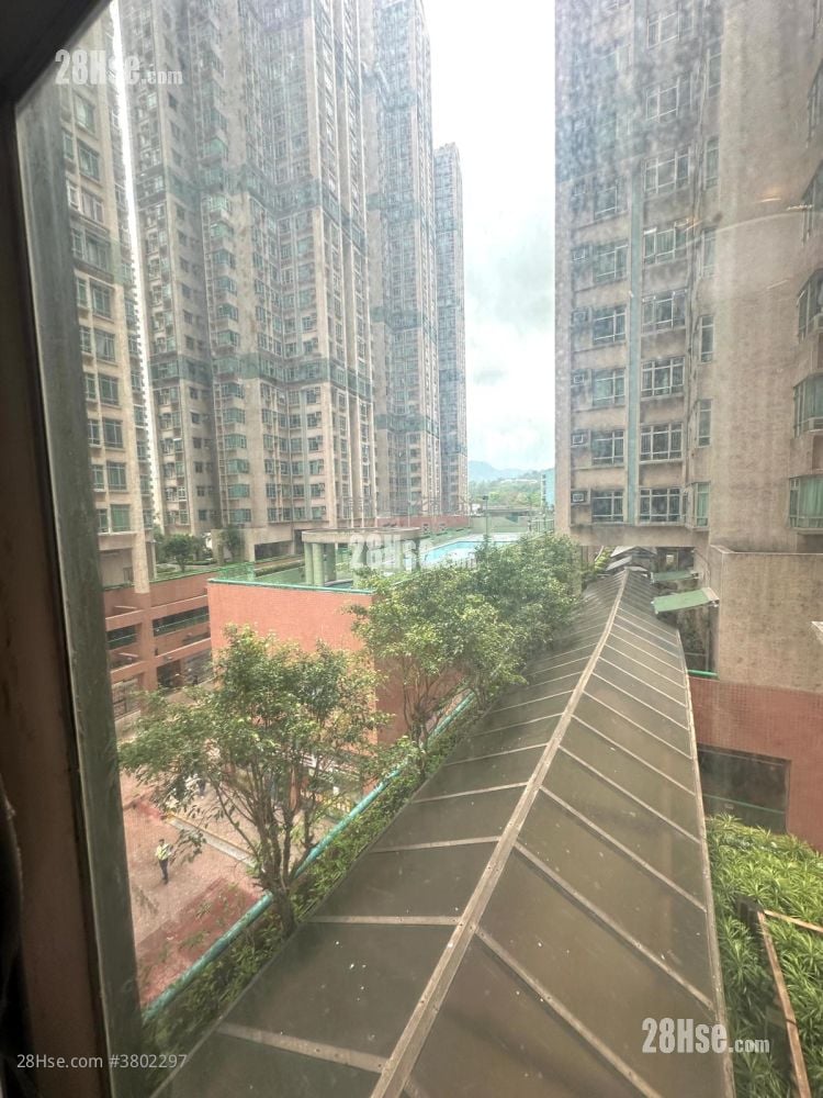 花都广场 租盘 2 房 , 1 浴室 370 平方尺