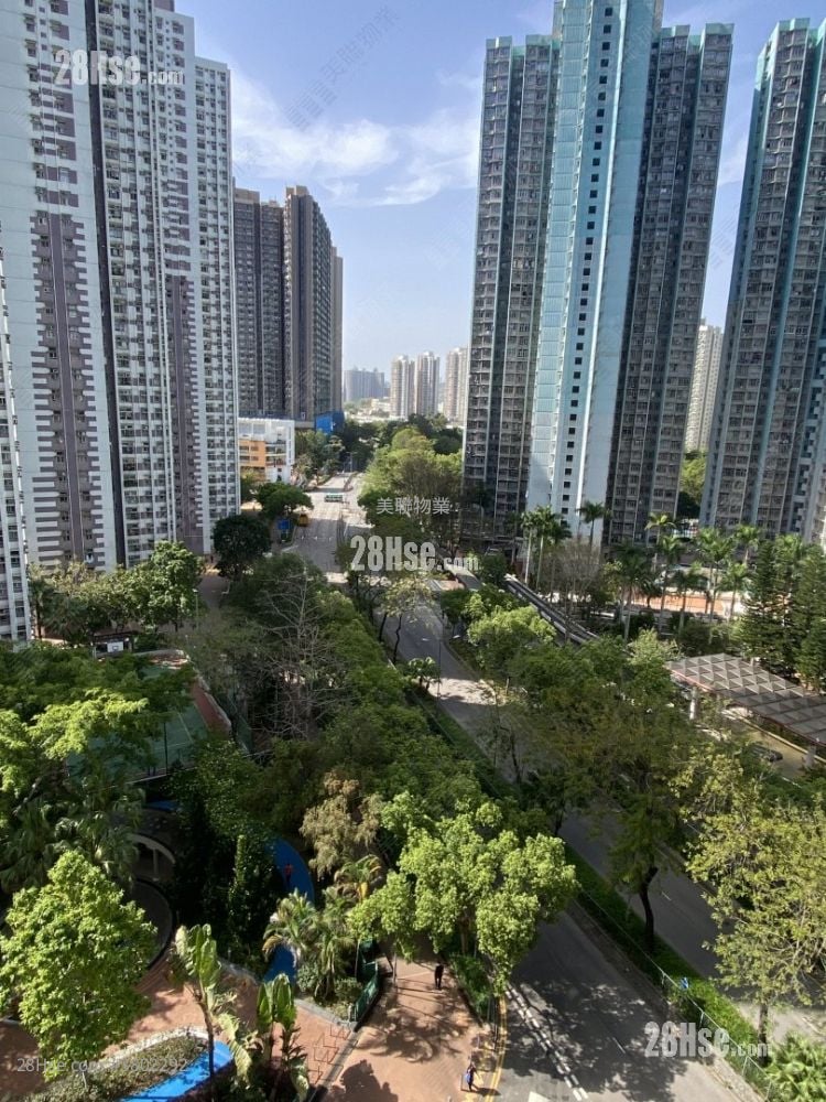 花都广场 售盘 2 房 392 平方尺