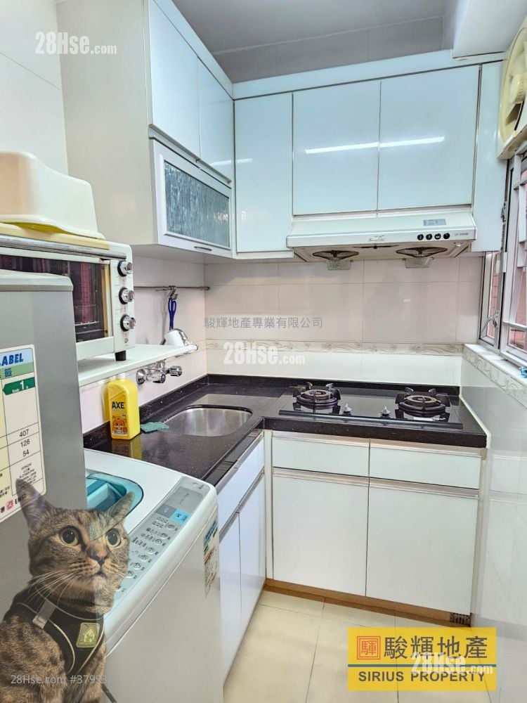 No.238 Fuk Wing Rental 2 Bedrooms , 1 Bathroom 324 ft²