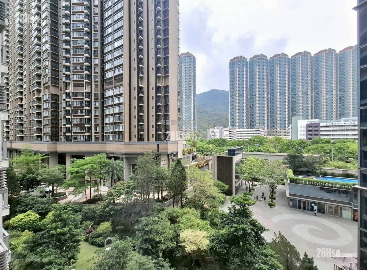 东环 租盘 2 房 484 平方尺