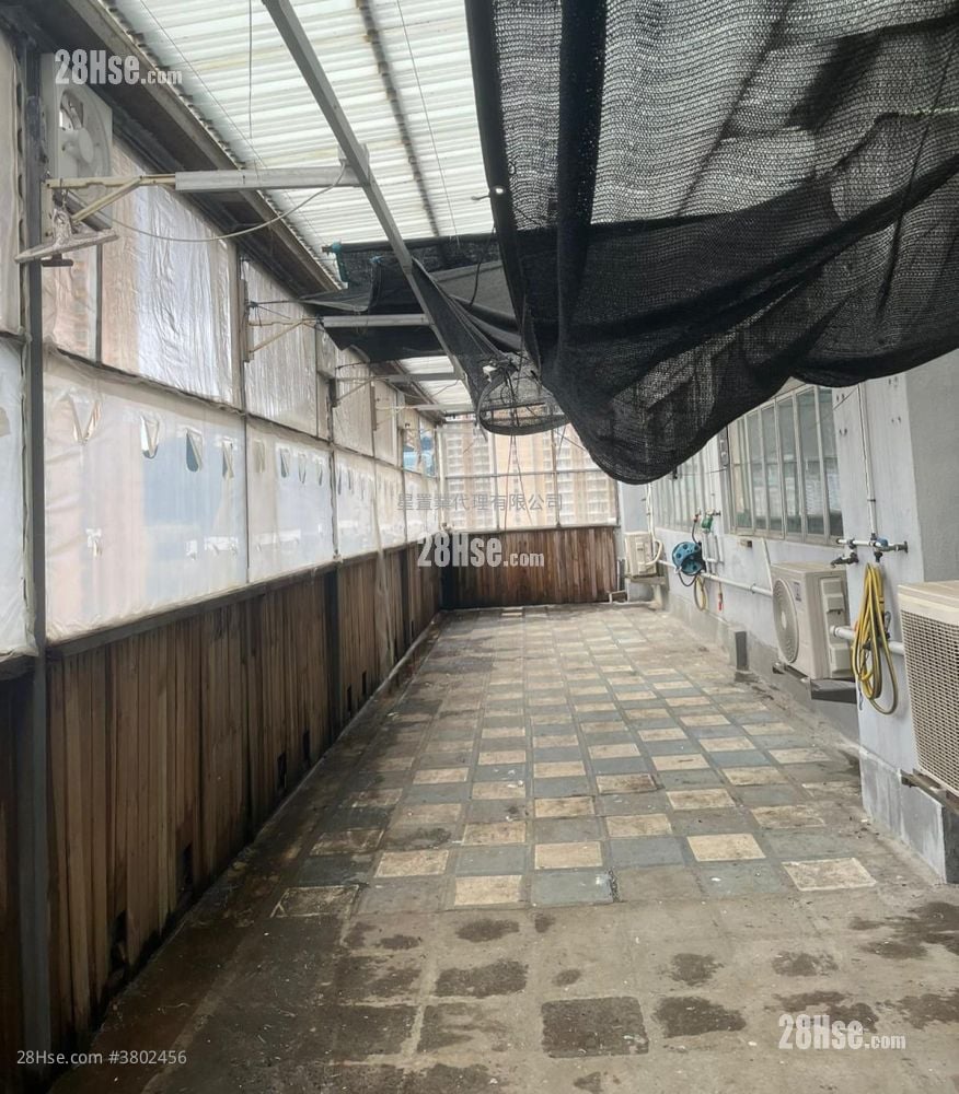 Che Wah Industrial Building Rental