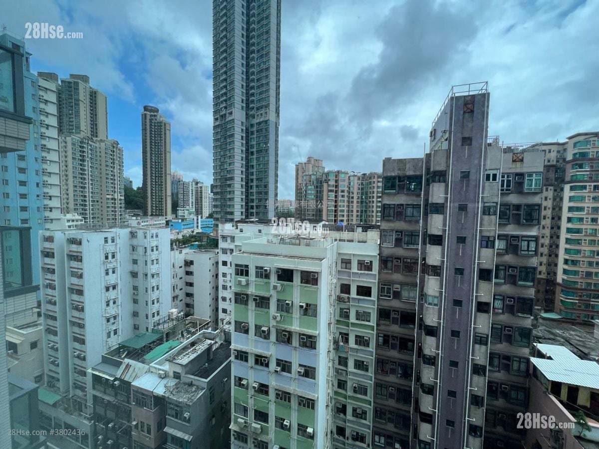 Downtown 38 售盘 1 房 , 1 浴室 301 平方尺