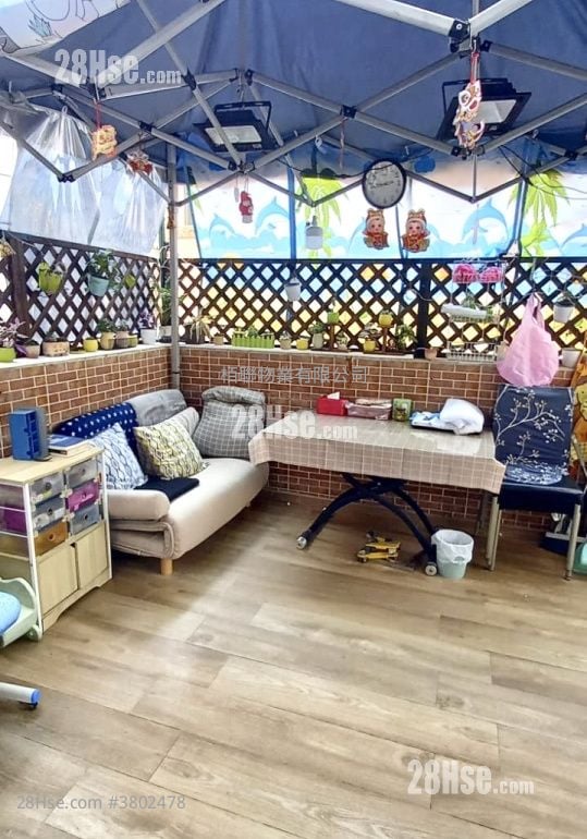 东鸿大厦 租盘 1 房 , 1 浴室 299 平方尺