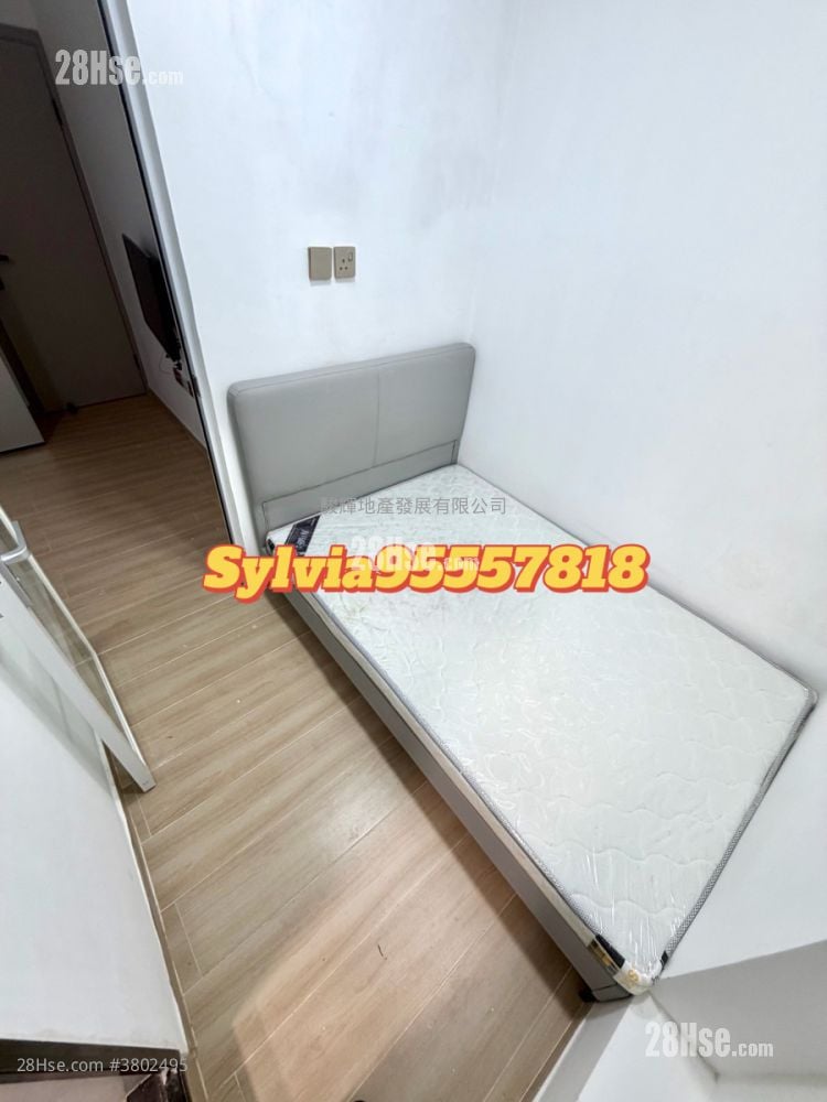 文英楼 租盘 1 房 , 1 浴室 180 平方尺