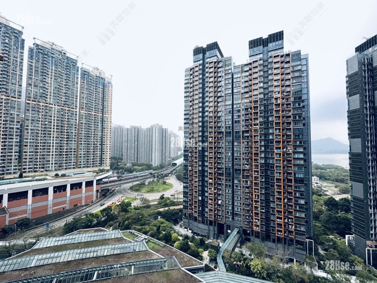 Double Cove Sell 1 Bedroom , 1 Bathroom 523 ft²