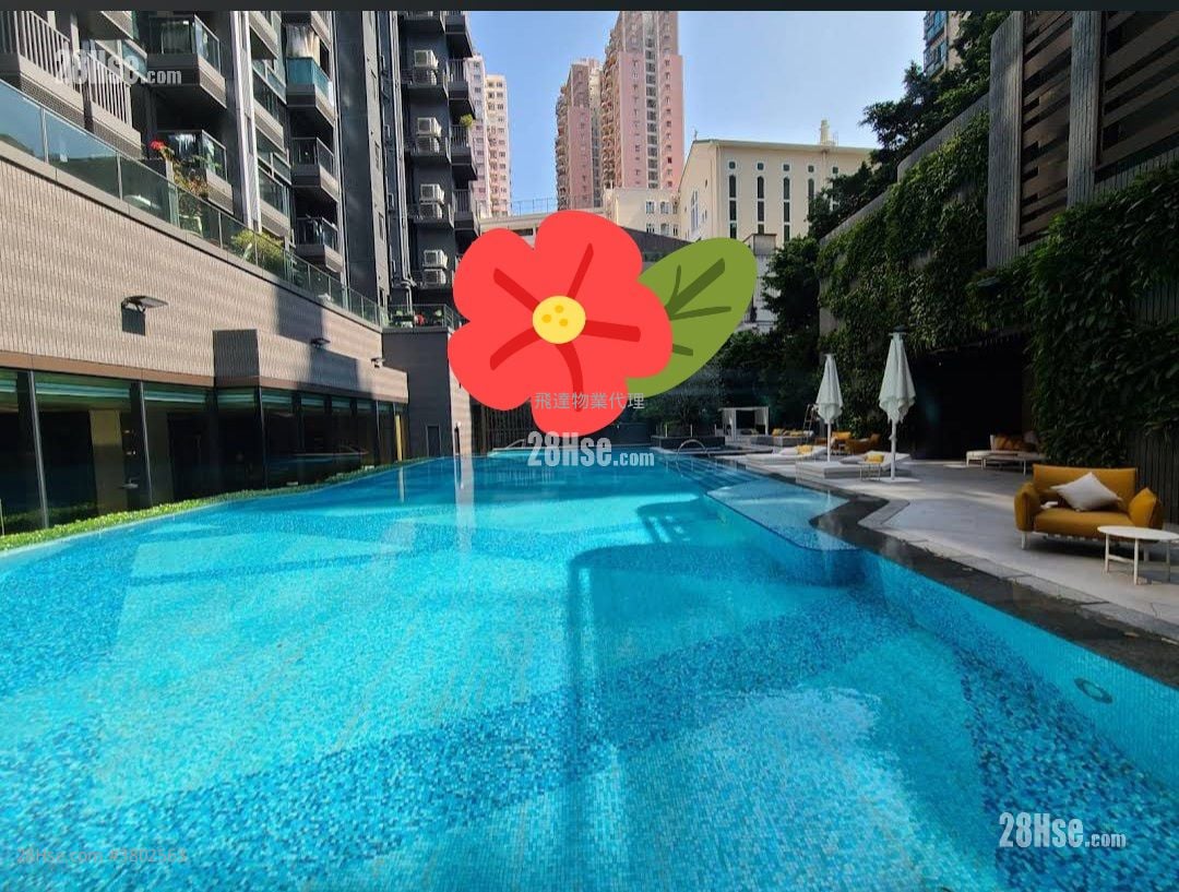 Novum West Rental 1 Bedroom , 1 Bathroom 331 ft²