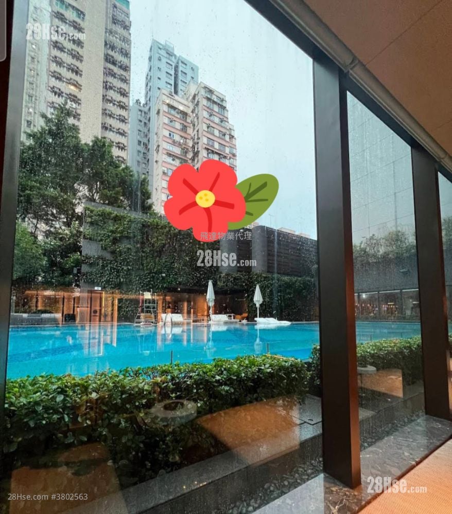 Novum West Rental 1 Bedroom , 1 Bathroom 331 ft²