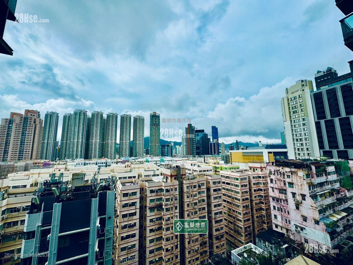 Eltanin Square Mile Rental 1 Bedroom , 1 Bathroom 248 ft²