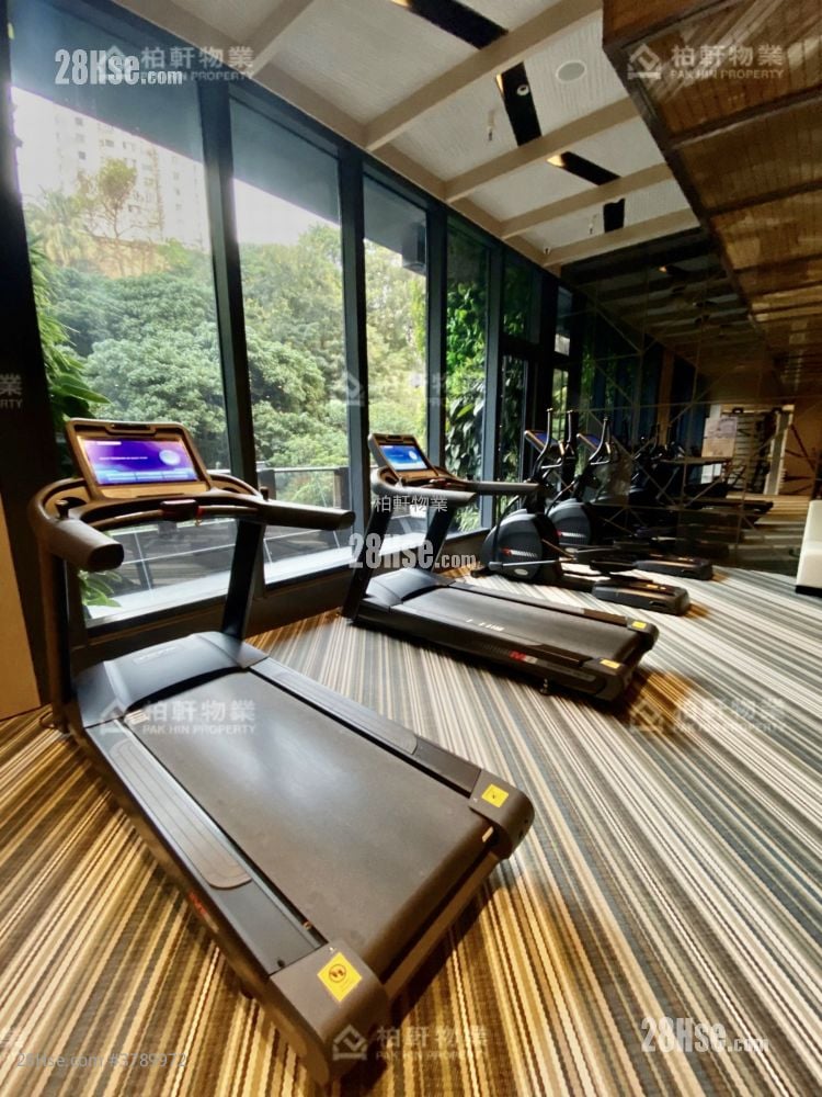 君豪峰 租盘 3 房 , 1 浴室 451 平方尺