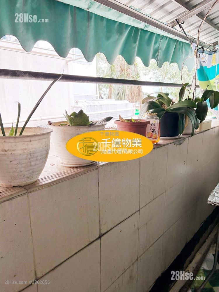 Hang Shing Building Sell 3 Bedrooms 479 ft²