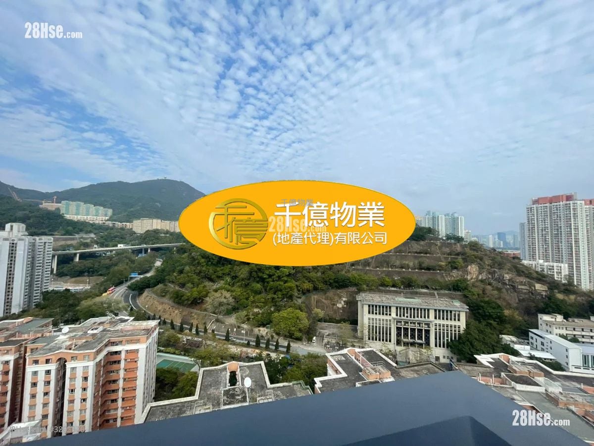 荟悦 售盘 开放式间隔 281 平方尺