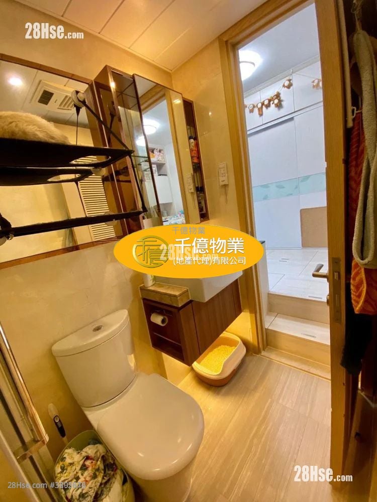 荟悦 售盘 开放式间隔 281 平方尺