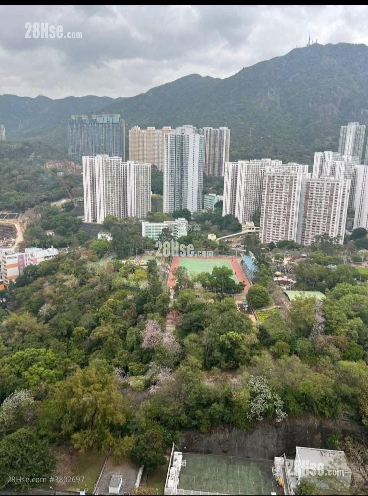 泰峯 售盘 3 房 , 2 浴室 690 平方尺