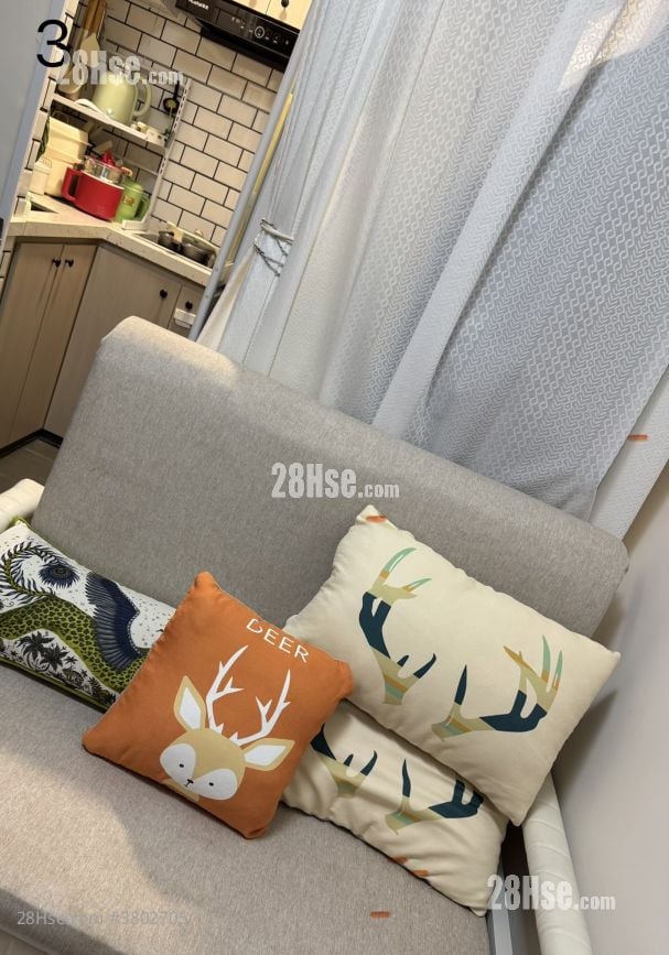 living room: 四人麻雀OK 放雙人床都OK