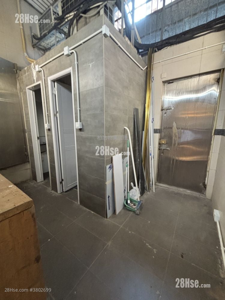 唐楼 租盘 2 厕所