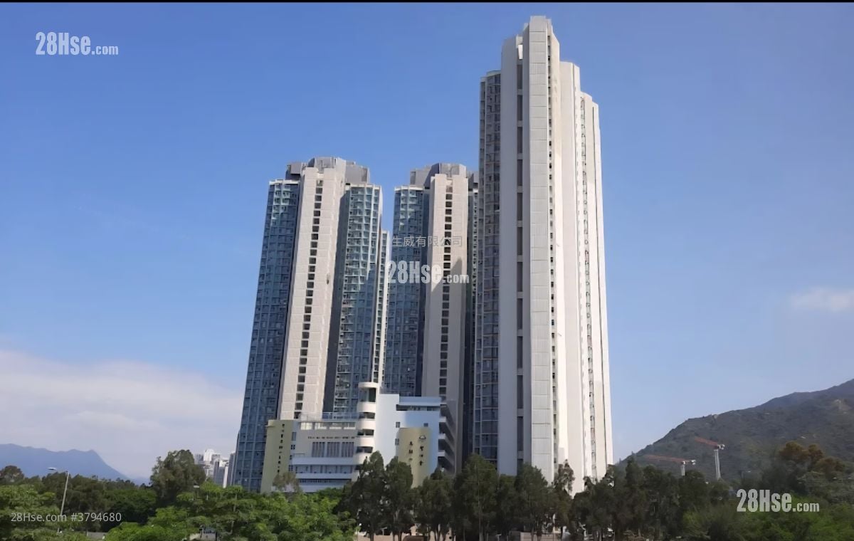 锦泰苑 租盘 3 房 , 2 浴室 650 平方尺