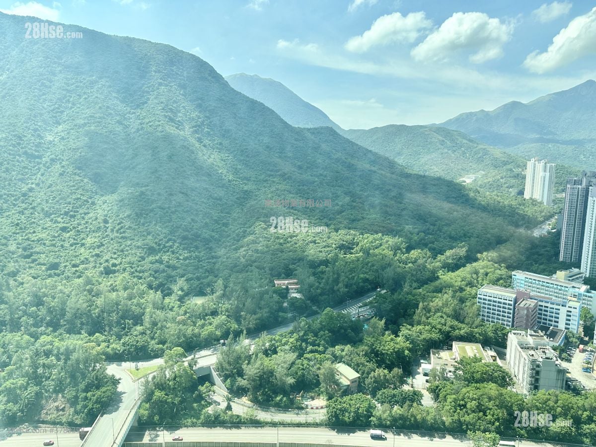 蓝天海岸 租盘 2 房 , 1 浴室 490 平方尺