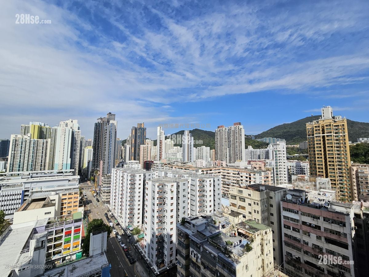 Phase 1B Of The Campton Rental Studio , 1 Bathroom 287 ft²