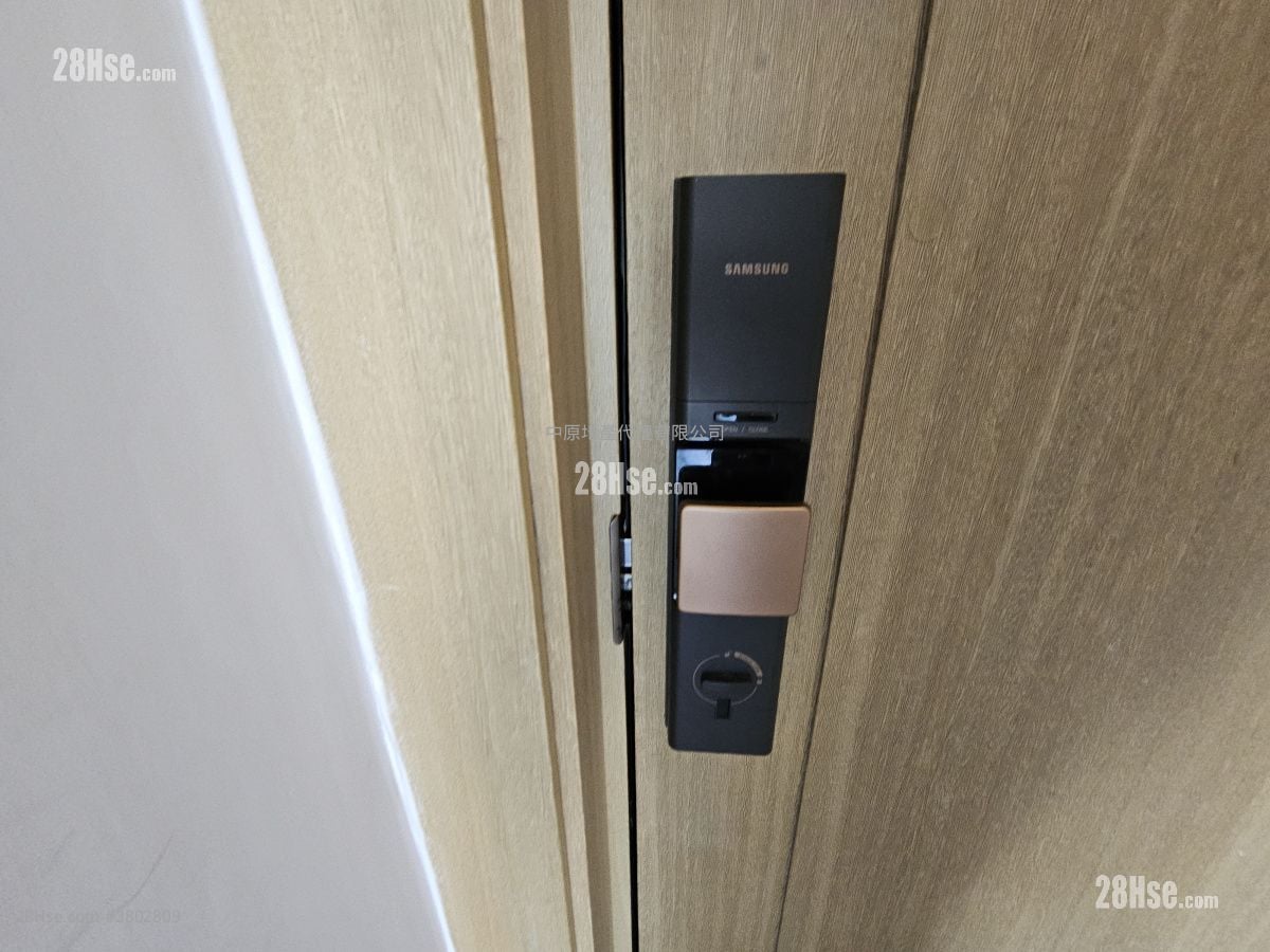 Phase 1B Of The Campton Rental Studio , 1 Bathroom 287 ft²