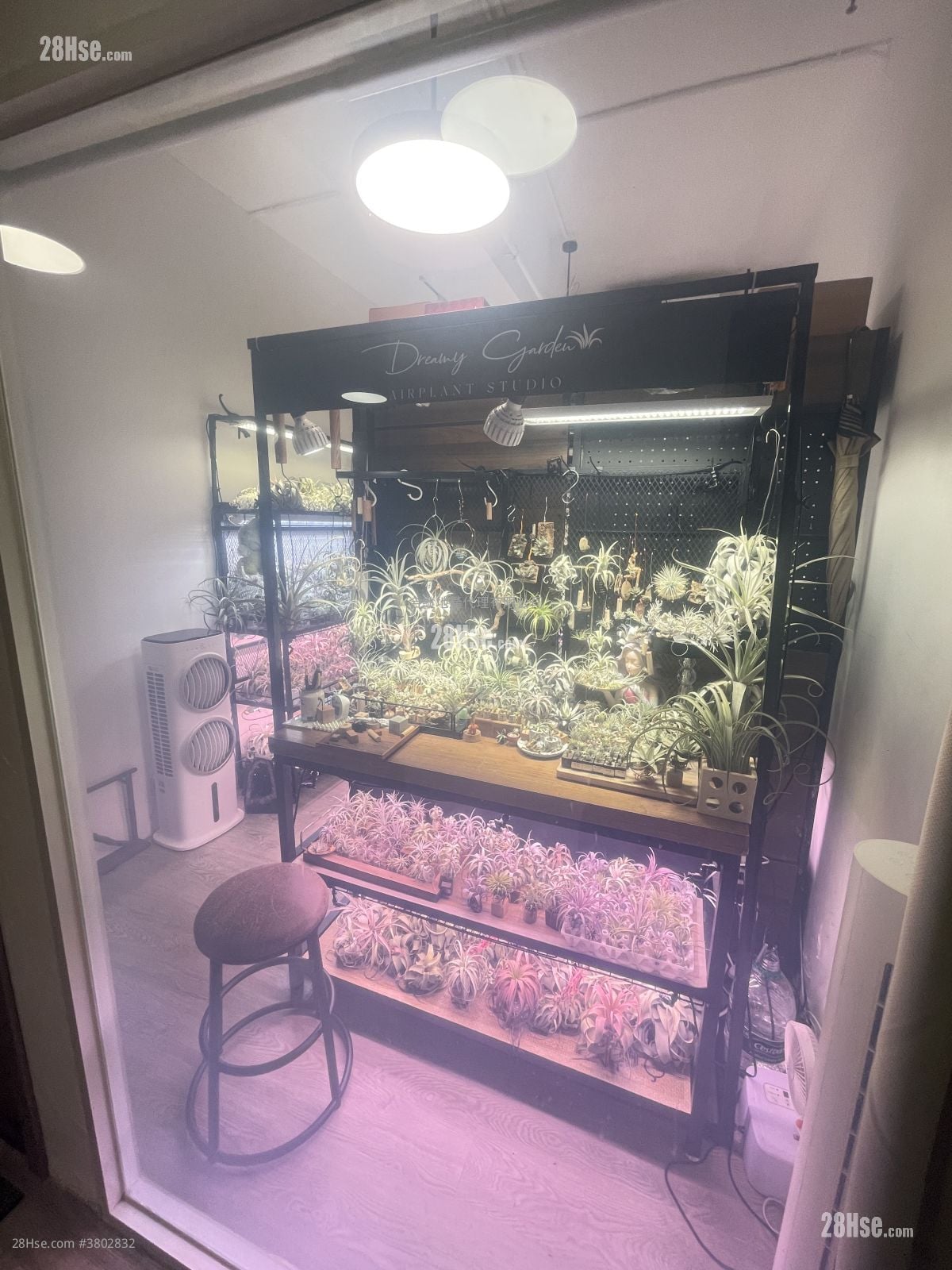 萬年工業大廈 租盤